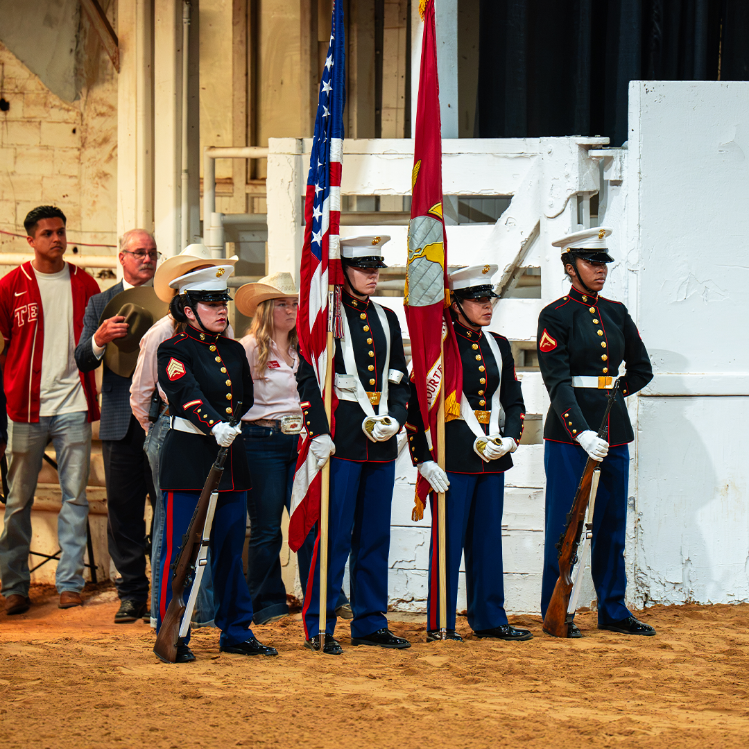 NSBA Partners in Honoring Freedom Night at APHA World Show