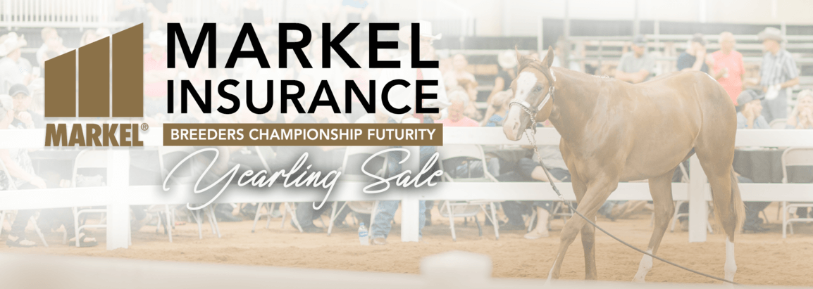 Markel Insurance Yearling Sale