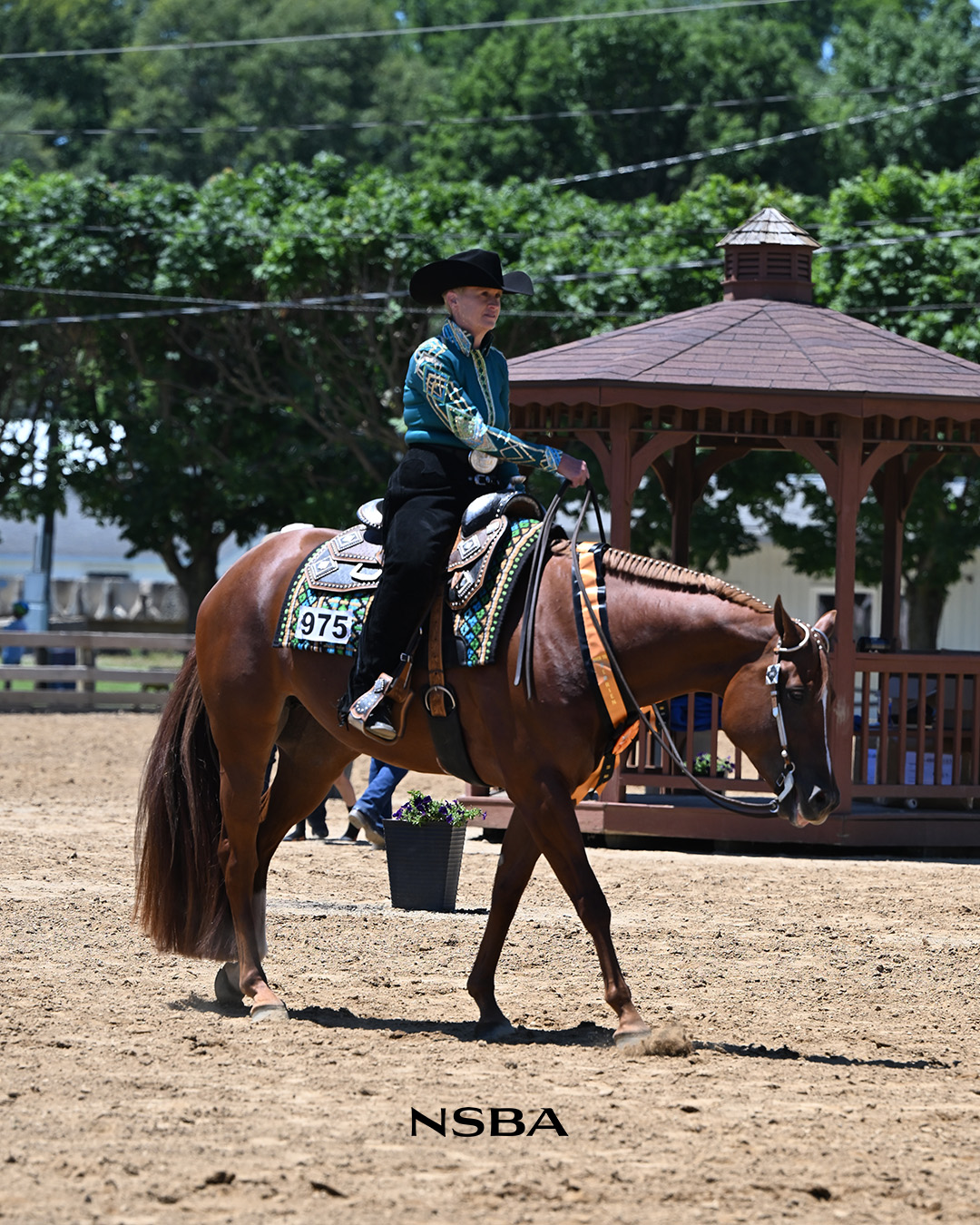 Aaron Moses, Katy Jo Zuidema, Million Dollar Club, NSBA