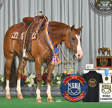 Sumac Gunnabeflashy Named 2023 NSBA Horse Of The Year