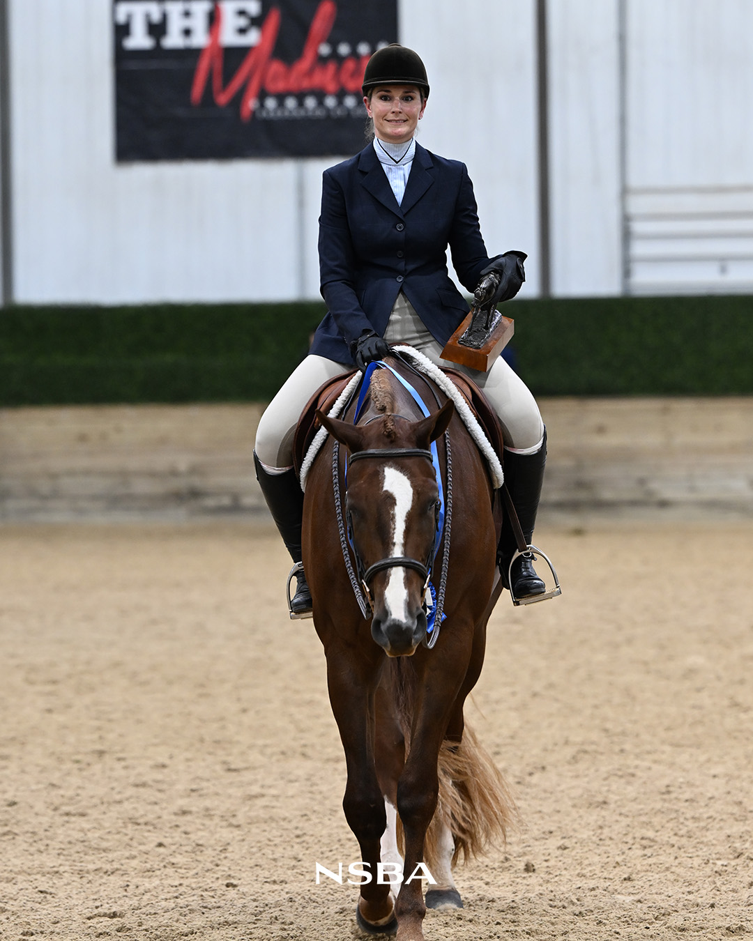 Ill Sleep On It, Amanda Gately Ill Sleep On It, Amanda Gately, Three Year Old Limited Open Hunter Under Saddle, NSBA