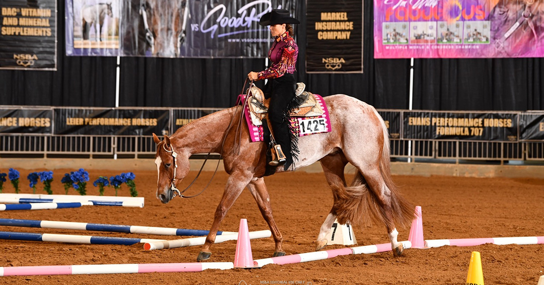 NSBA, NSBA World Championship Show, Jennifer Paul, NSBA Quarter Million Dollar Club