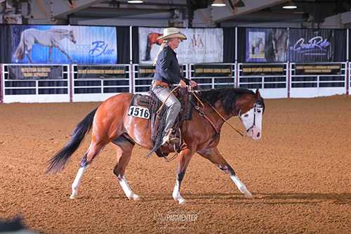 NSBA World Show, Ranch Breeders Championship Futurity, Ranch Horsemanship