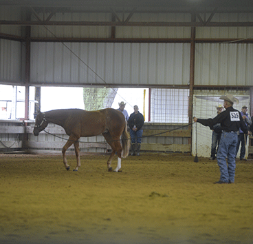 Rain Shortens First Day of the Tom Powers Triple Challenge Futurity