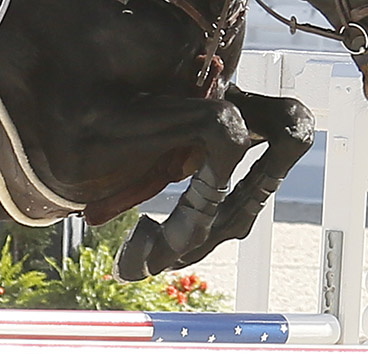 NSBA Continues Its Commitment To The Hunter Jumper Community