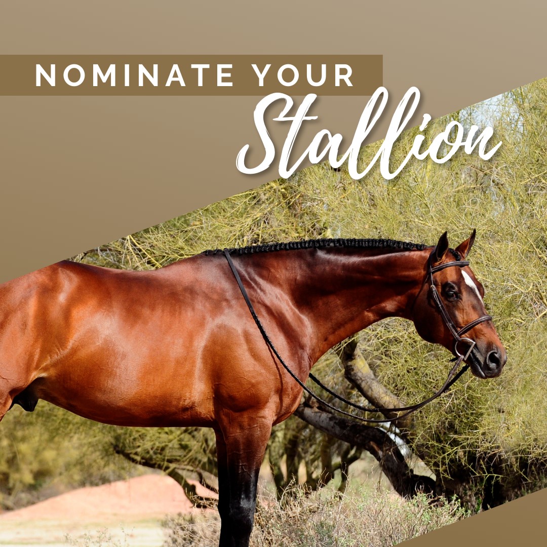 Stallion standing against a large bush slightly looking right at the viewer.