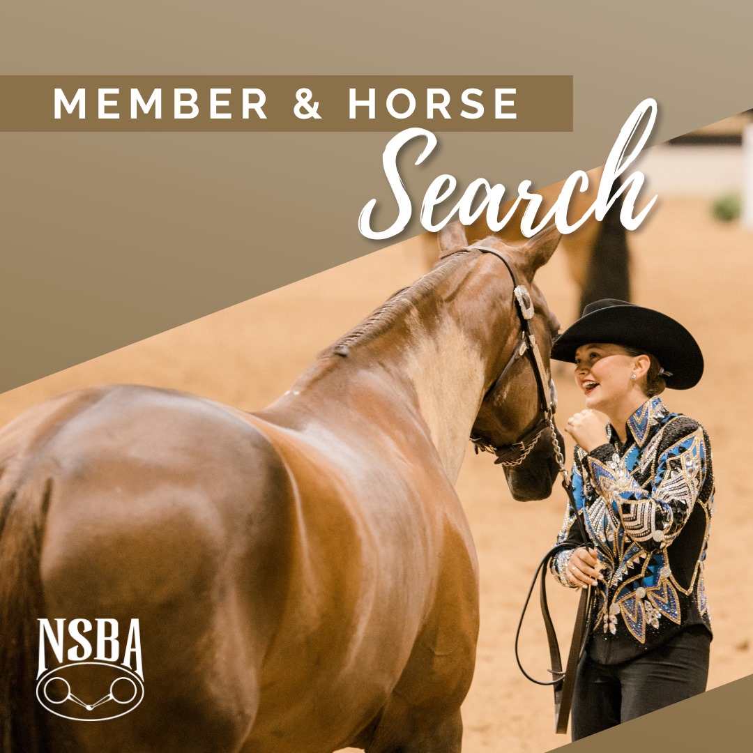 A horse and exhibitor standing for review during a showmanship class