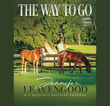 The November-December Issue of The Way To Go is now Online! The November-December Issue of The Way To Go is now Online!